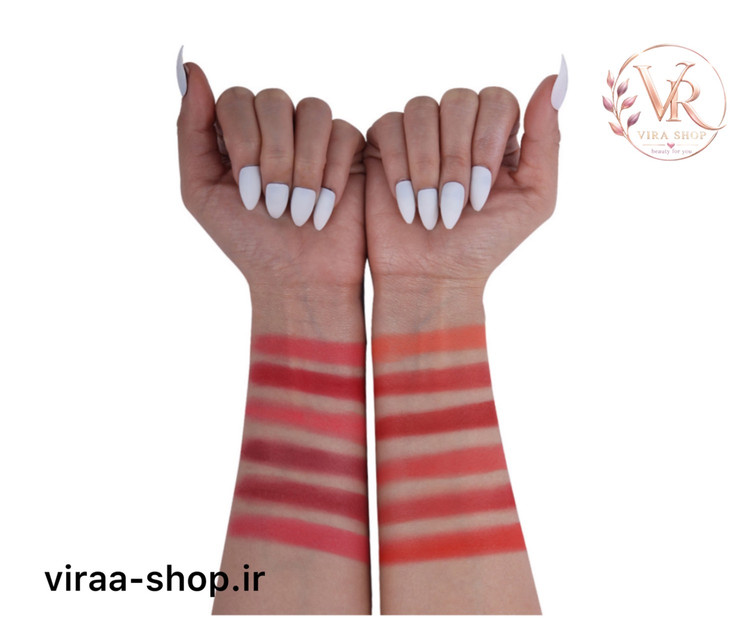 پالت رژگونه پودری فیوچر میکاپ (FU104)